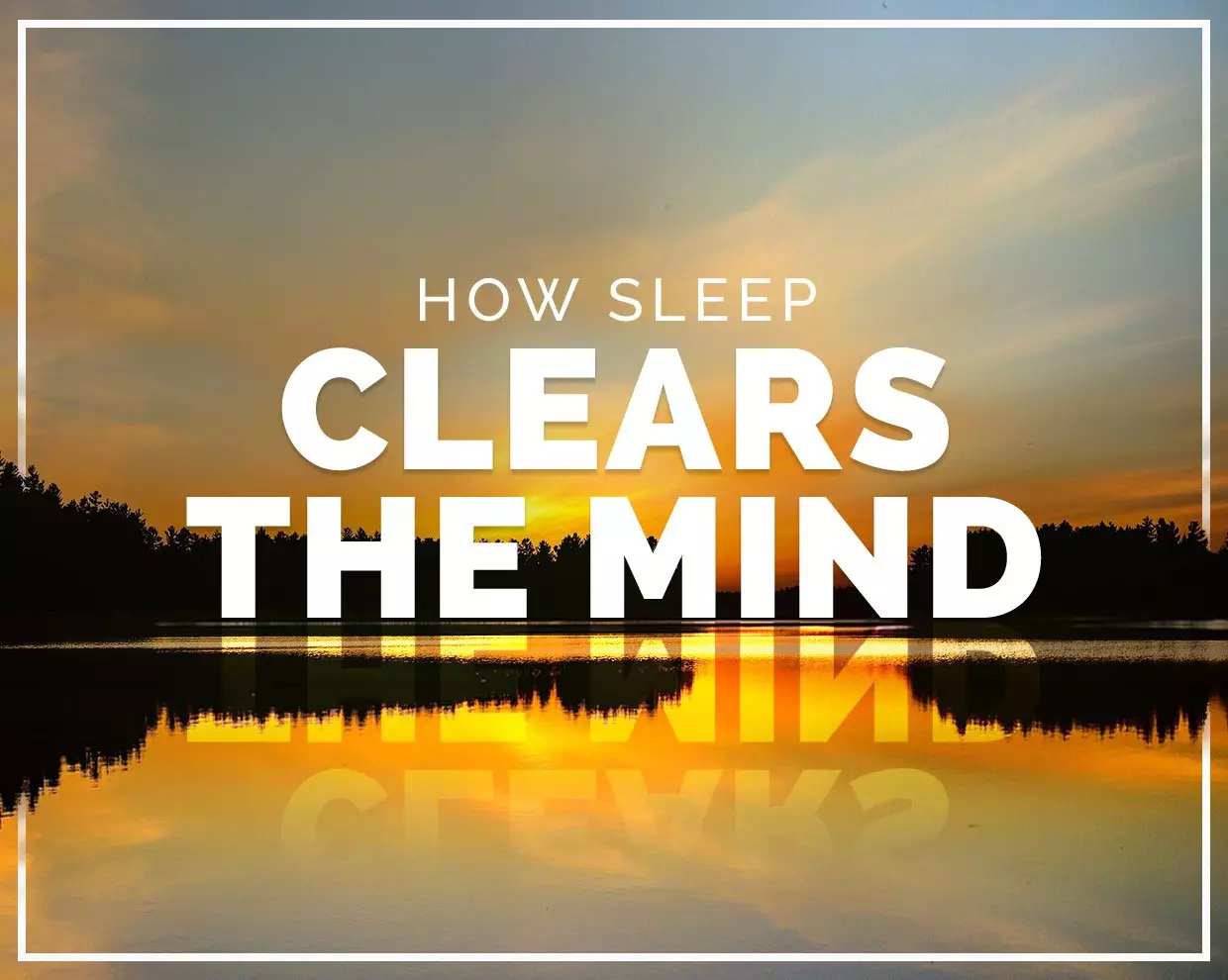 How sleep clears the mind 