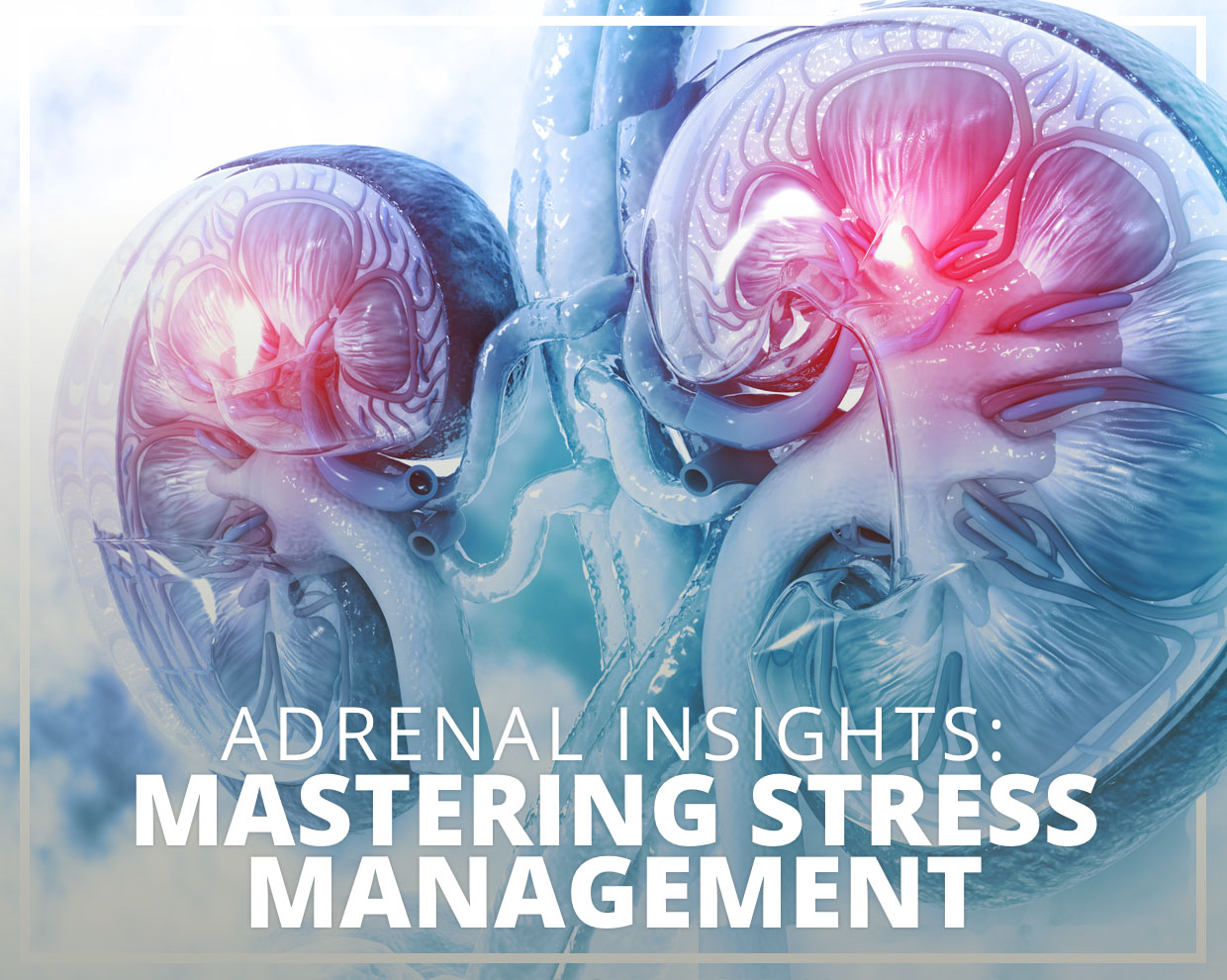 Stress Management for Adrenal Health in 2023