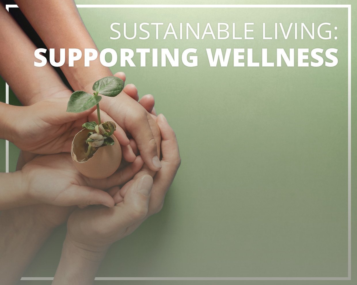 Sustainable Living: Supporting Wellness