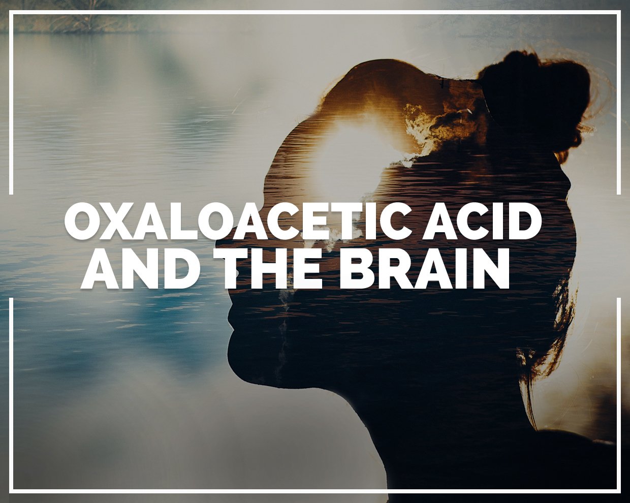 Oxaloacetic acid and the brain 