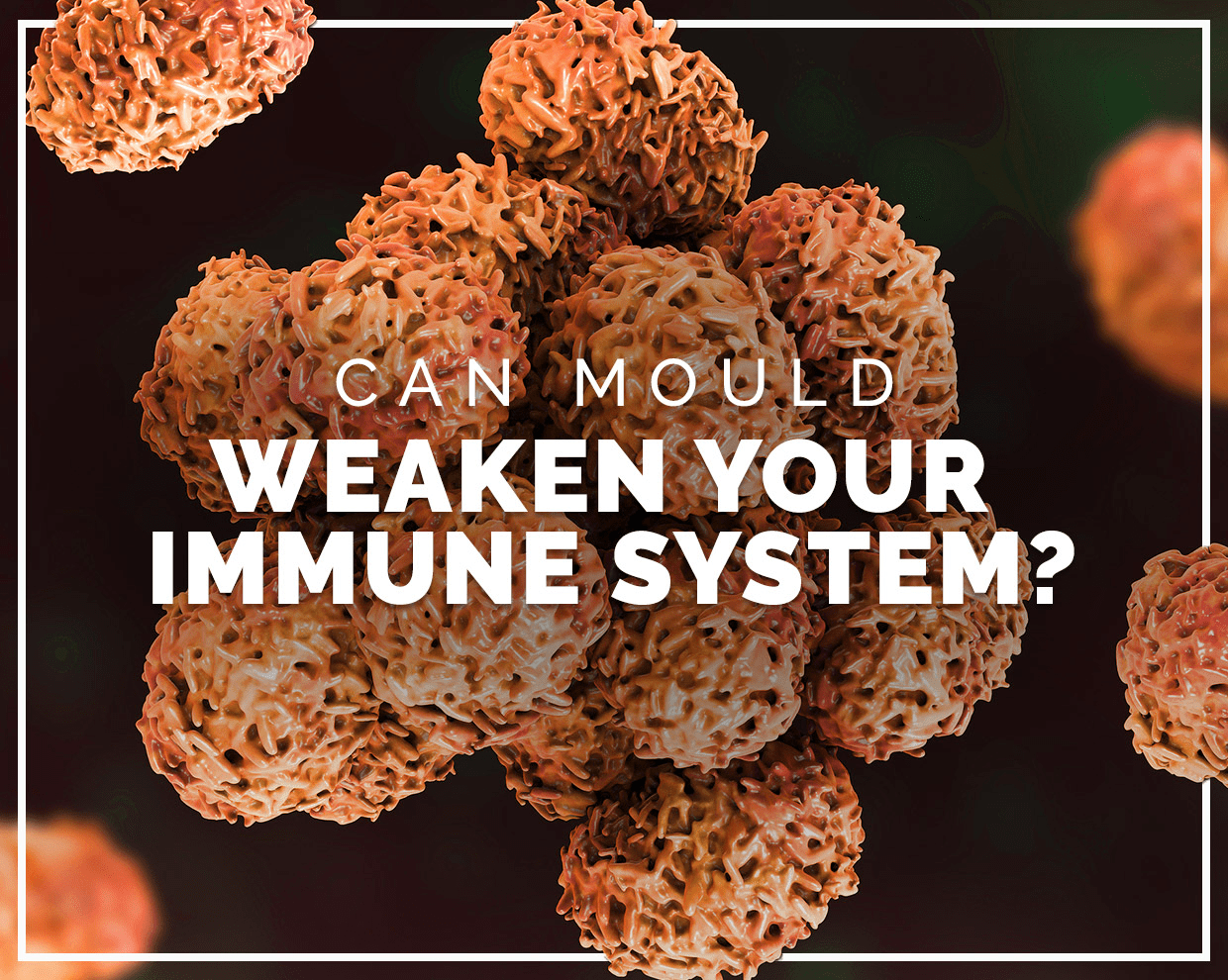 Can mould weaken your immune system? 